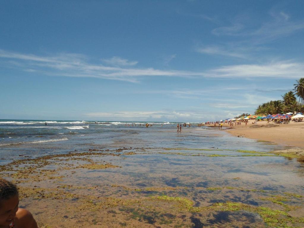 Kit Net Carlotta Apartamentos Salvador da Bahia Dış mekan fotoğraf