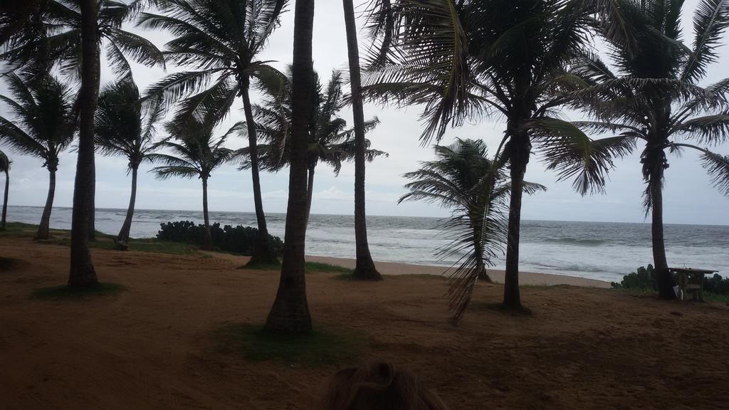 Kit Net Carlotta Apartamentos Salvador da Bahia Dış mekan fotoğraf